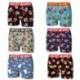 Set 6 boxer Crazy Boxer "Nature" - microfibra (92% poliéster - 8% elastano) - multicolor