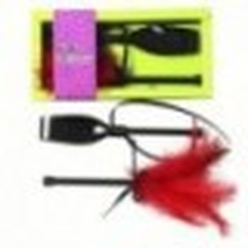 ESTUCHE PARA PREMIARTE